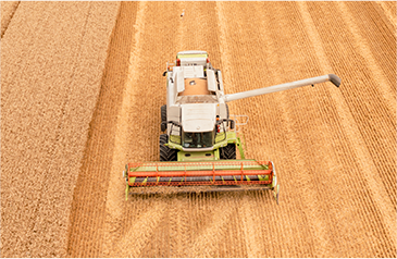 收——加大收割自动化力度，利用智能收获系统，保种保收，提产提质