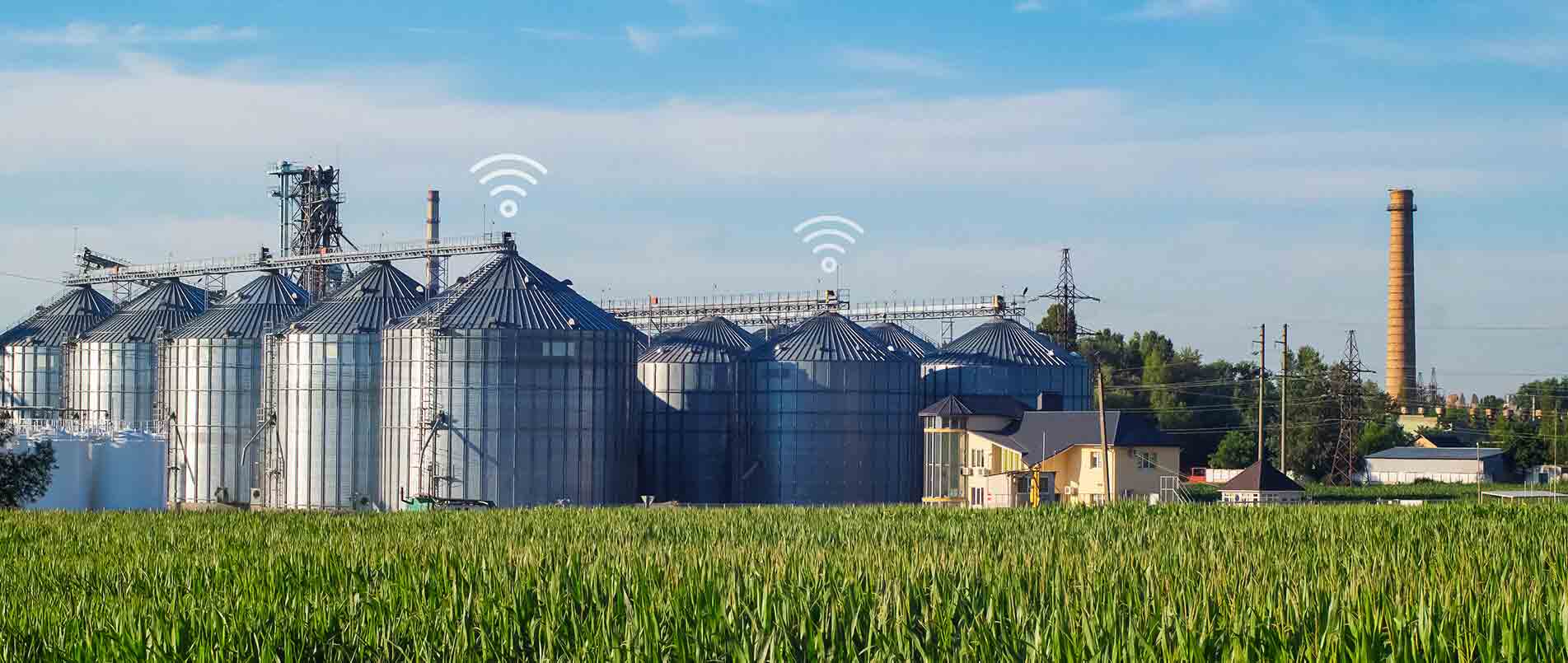 pp模拟器电子游戏助力夏粮存储新招式，科技手段更有效