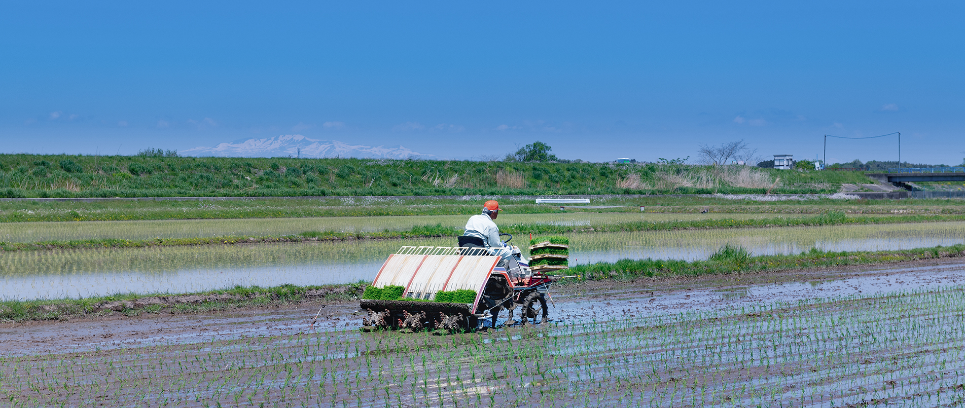 农机水田作业的“智慧大脑”——沃地泰FMA210，告别“经验种植”，开启精准高效农业之旅